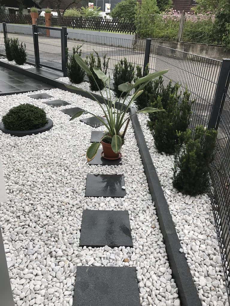 Eibenhecke Gartengestaltung